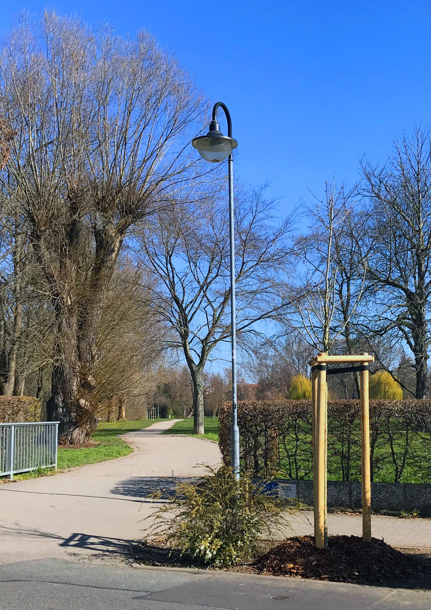 Baum und Staudenpflanzungen in Delitzsch Stadt Delitzsch