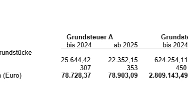 Grundsteuern-2025