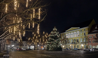 Marktplatz mit Weihnachtsbaum